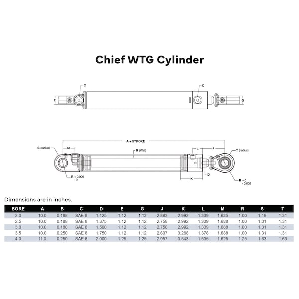 WTG Welded Tang Hydraulic Cylinder: 2 Bore X 20 Stroke - 1.125 Rod